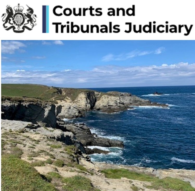 Courts and Tribunals Judiciary illustration