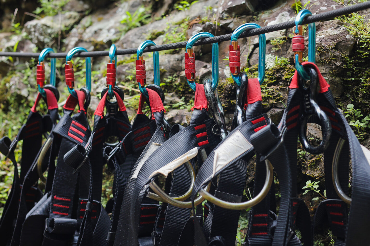 A row of harnesses on a rope